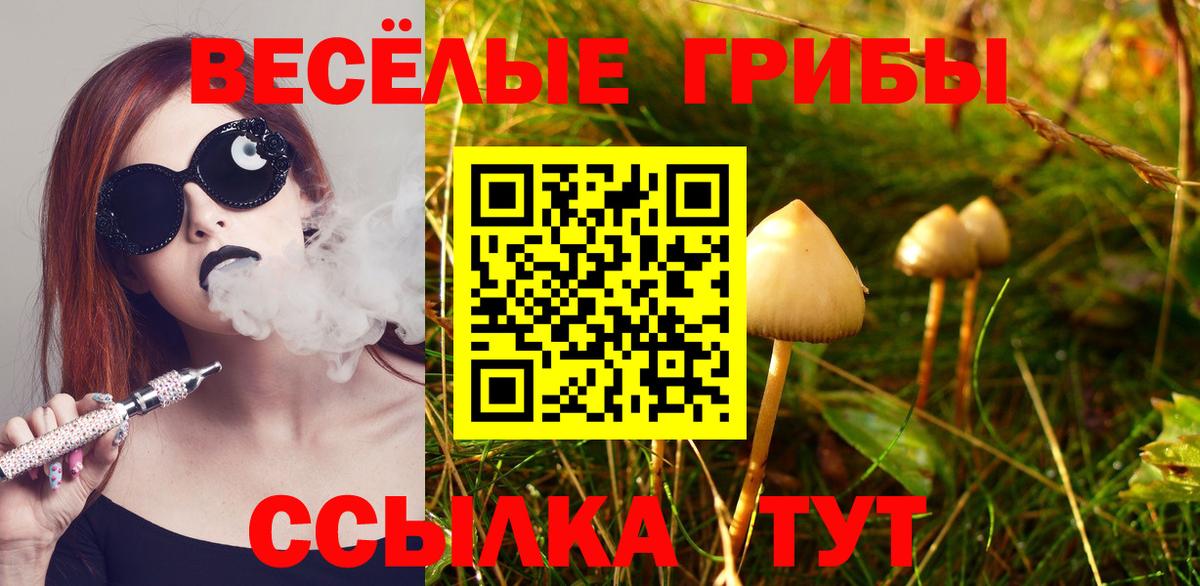 Псилоцибиновые грибы Magic Shrooms Чебоксары