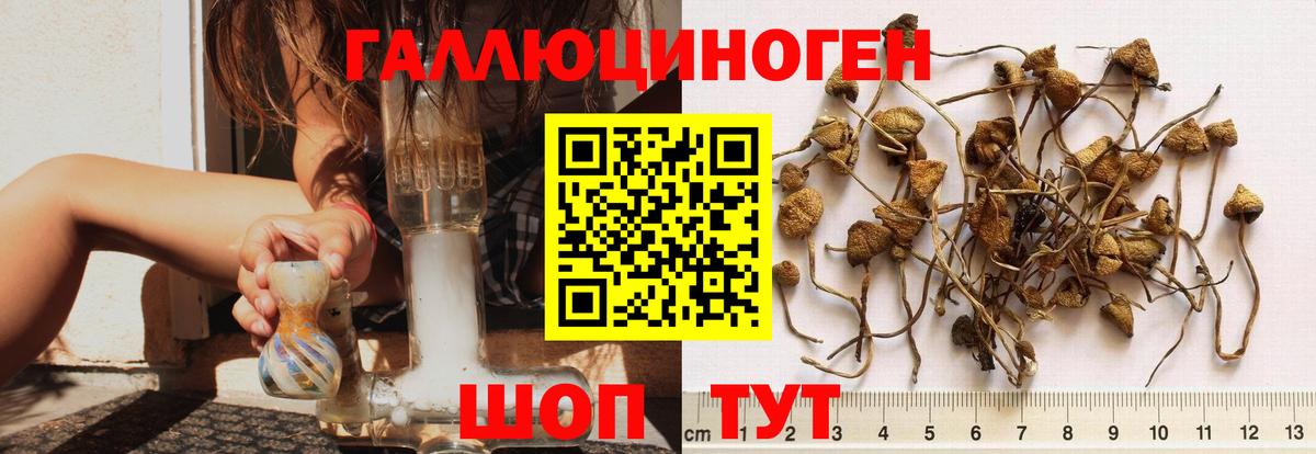 Галлюциногенные грибы Magic Shrooms  Вход с VPN  Чебоксары 